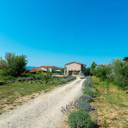 Luscinia Villa *